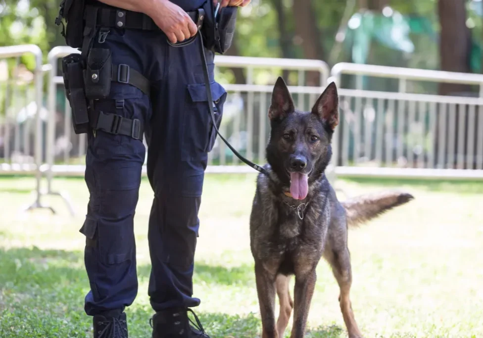Guard Dog Security services Guard Dog Security services