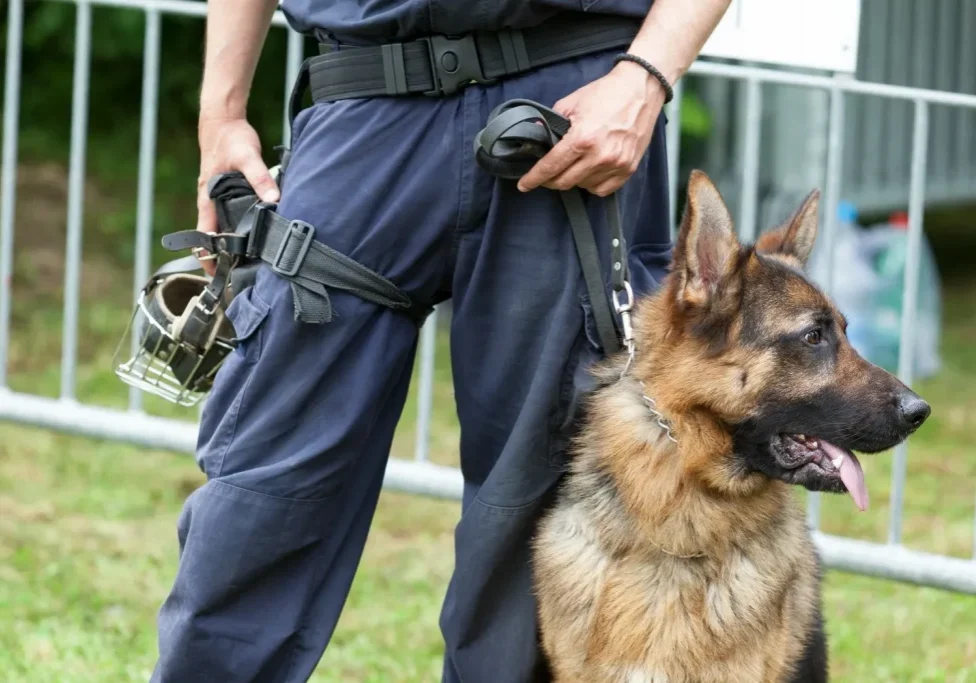 Static Patrol Dog services